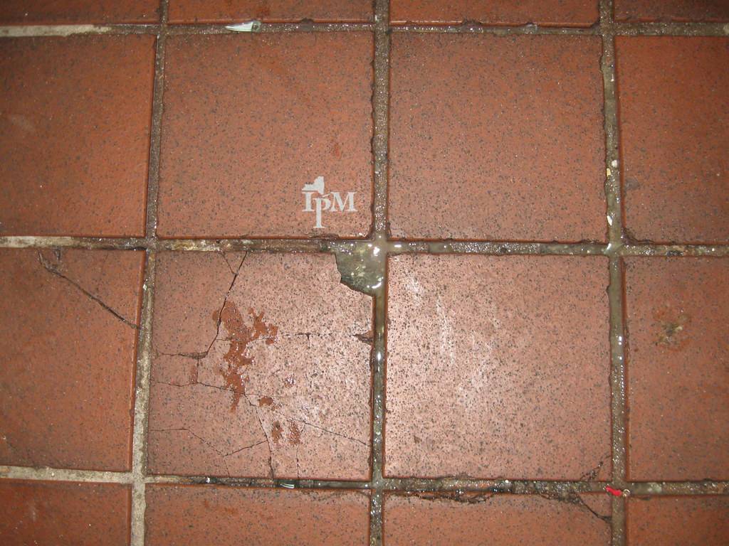 Tile Stain Removal