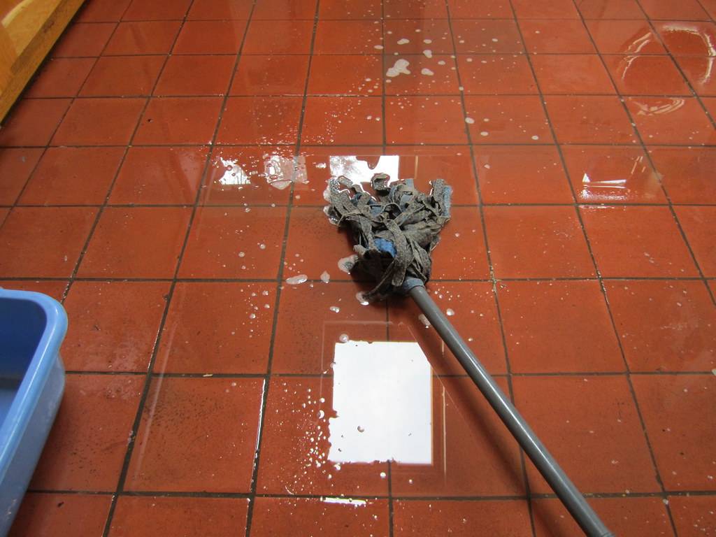 DIY vs Specialist Tile and Grout Cleaning: Which Option Saves More Money