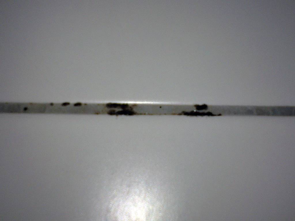 Mould Removal